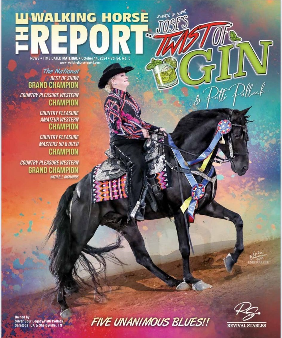 Horse Show Bun for the Cover of the Walking Horse Report