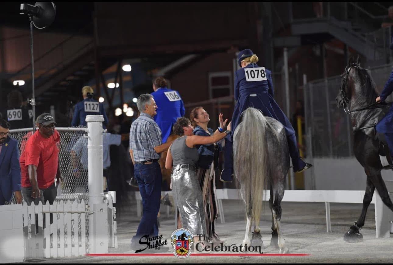 English Horse Show Bun